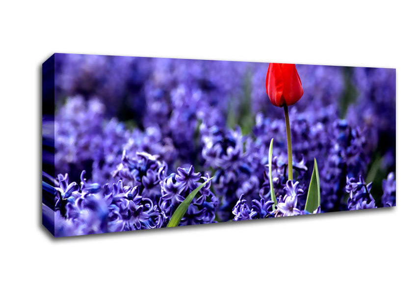Picture of Red Tulip And Hyacinths Panoramic Canvas Wall Art