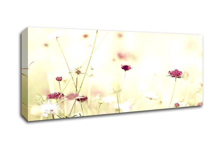 Picture of Wildflowers In Stunning Sunlight Panoramic Canvas Wall Art