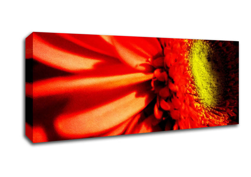 Picture of Close-up Of A Gerbera Panoramic Canvas Wall Art
