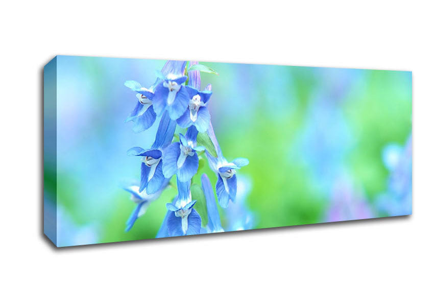 Picture of Soft Focus Small Blue Flowers Panoramic Canvas Wall Art