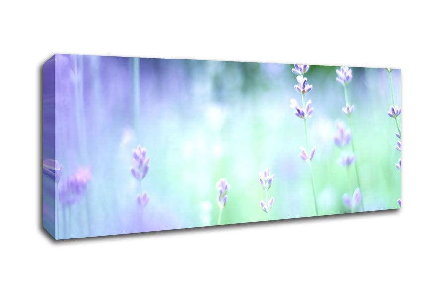 Picture of Soft Focus Small Purple Flowers Panoramic Canvas Wall Art