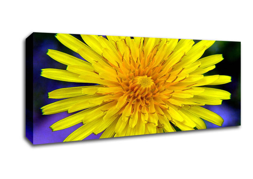 Picture of Yellow Wildflower Panoramic Canvas Wall Art