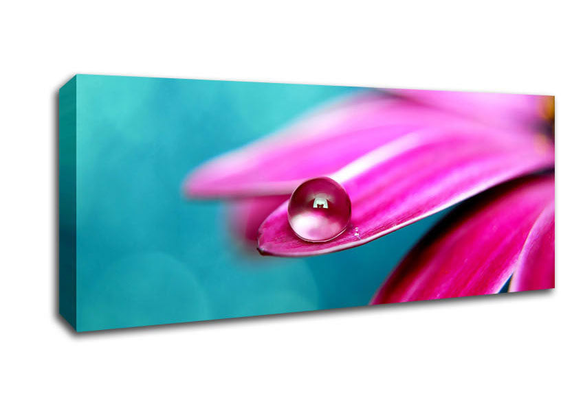 Picture of Water Drop On A Pink Petal Panoramic Canvas Wall Art