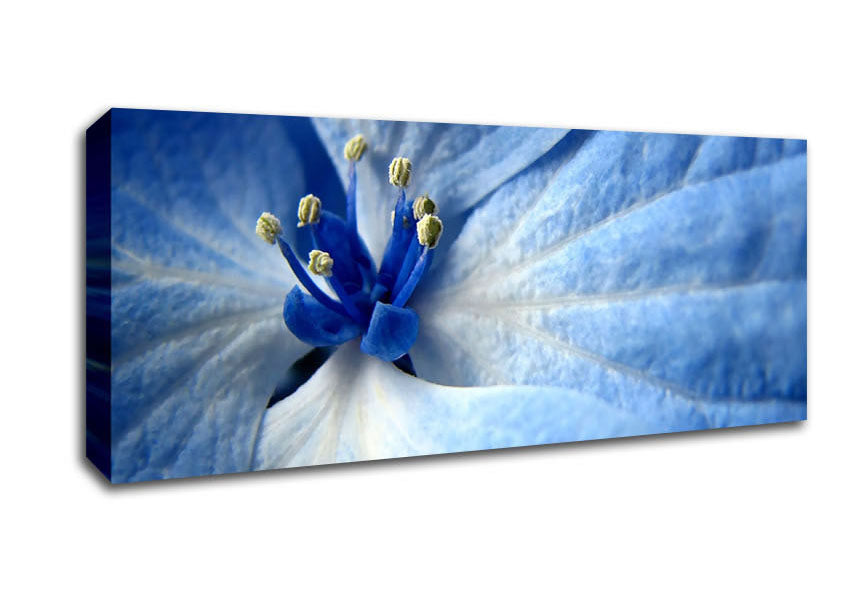 Picture of Soft Blue Flower Panoramic Canvas Wall Art
