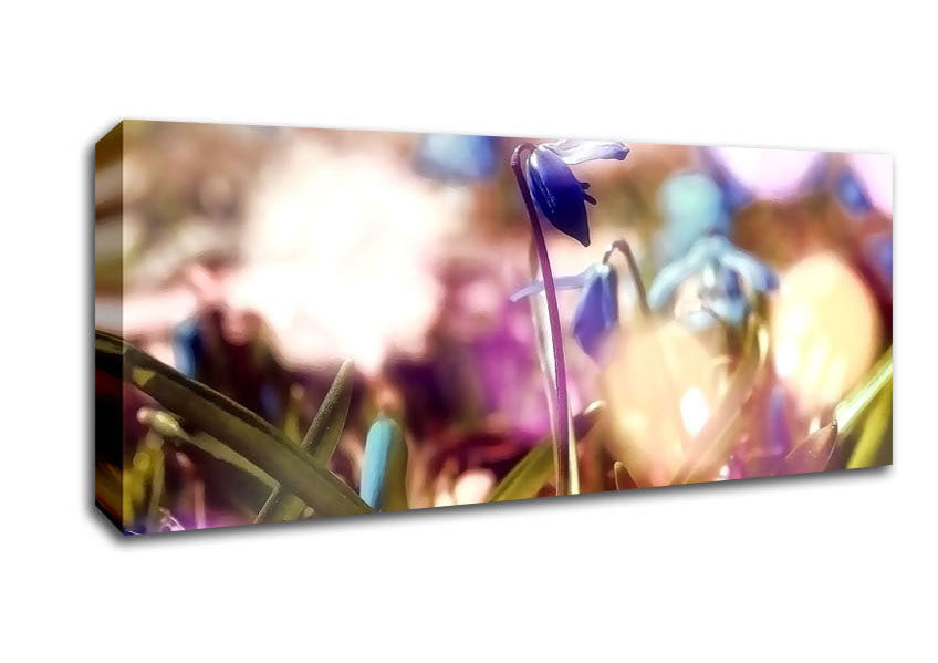Picture of Soft Purples In The Garden Panoramic Canvas Wall Art
