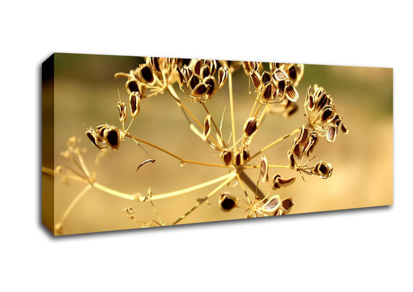 Picture of Winter Panoramic Canvas Wall Art