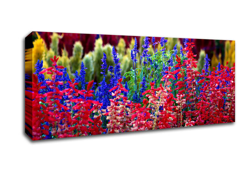 Picture of Rainbow Flowers Panoramic Canvas Wall Art
