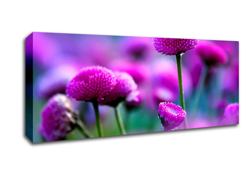 Picture of Remember Love Panoramic Canvas Wall Art