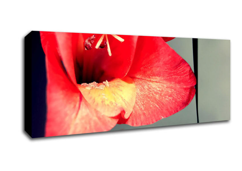 Picture of Three Petal red Panoramic Canvas Wall Art