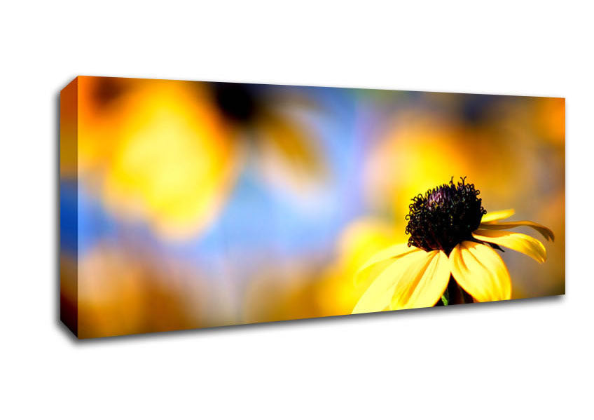 Picture of Cool Autumn Panoramic Canvas Wall Art