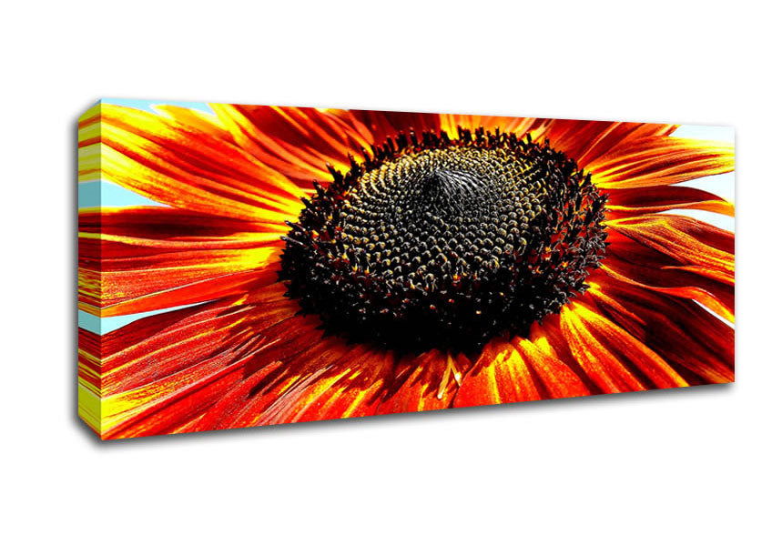 Picture of The Sunflower Panoramic Canvas Wall Art