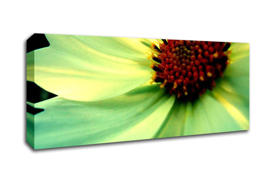 Picture of White Green Petals Panoramic Canvas Wall Art