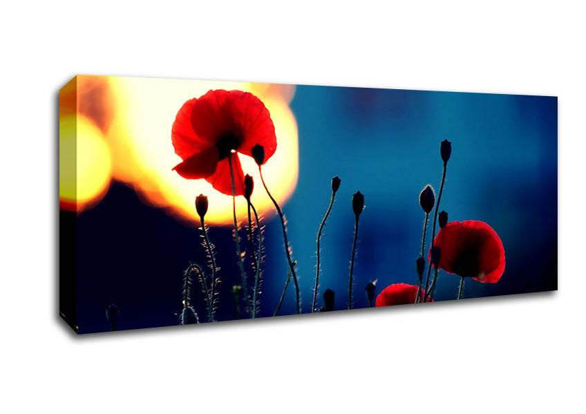 Picture of Poppies In The Sunset Panoramic Canvas Wall Art