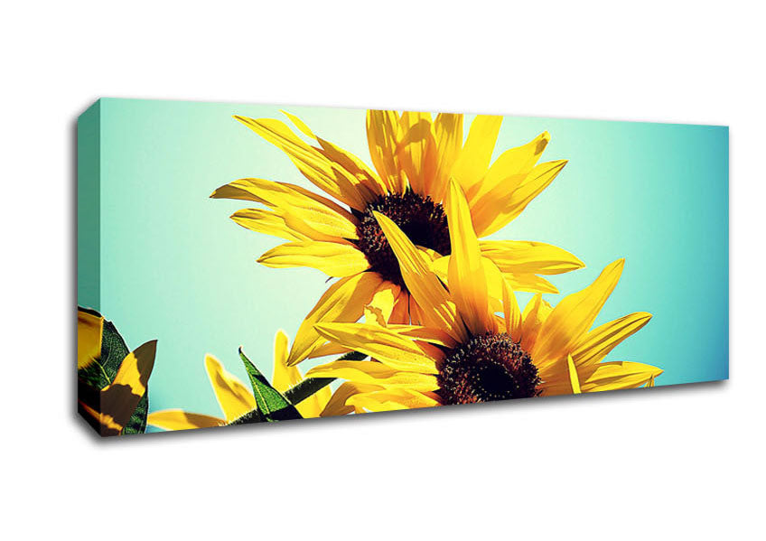 Picture of Sunflowers Against Blue Sky Panoramic Canvas Wall Art