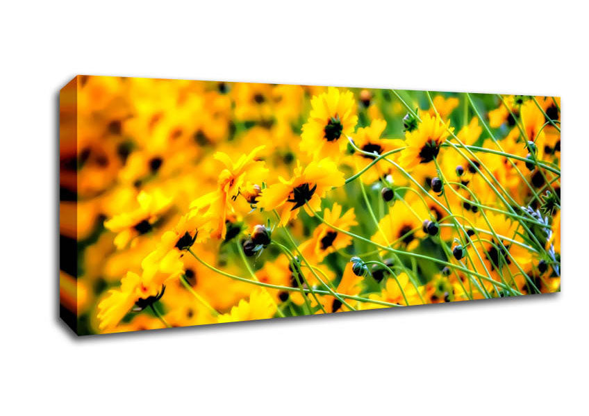 Picture of Very Yellow Panoramic Canvas Wall Art