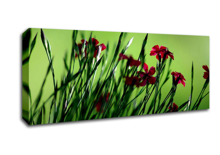 Picture of Small Field Flowers Panoramic Canvas Wall Art