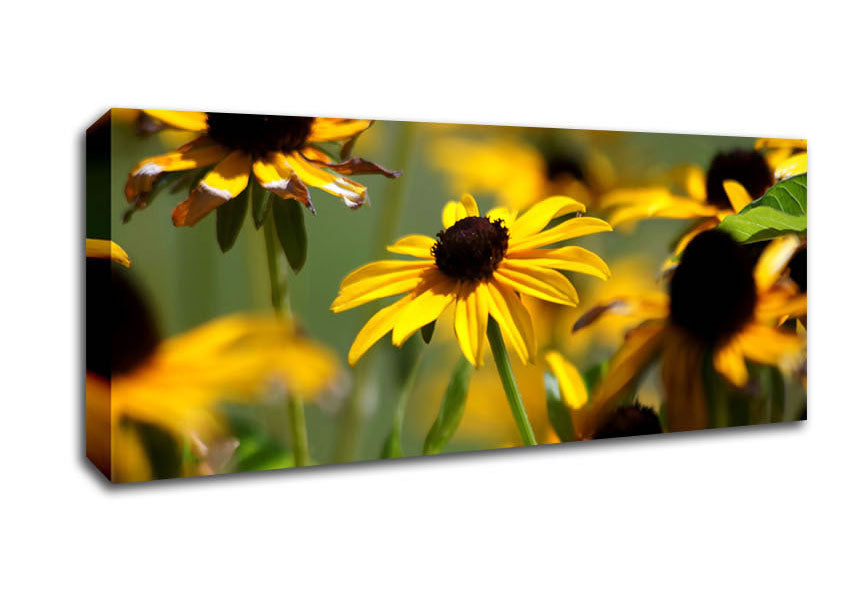 Picture of Yellow Flowers In The Garden Panoramic Canvas Wall Art