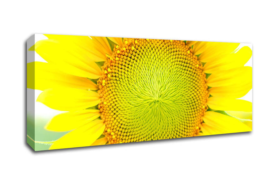 Picture of Dear Summer Panoramic Canvas Wall Art