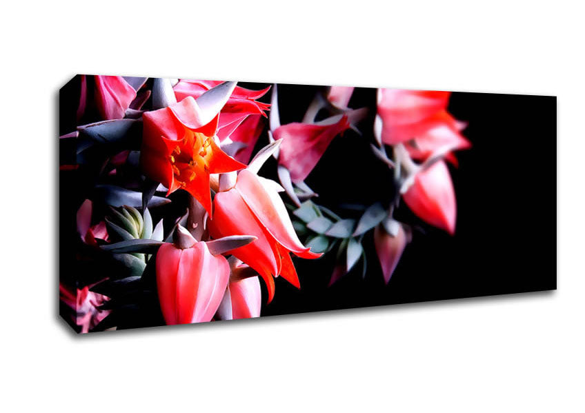 Picture of Red Spikes Panoramic Canvas Wall Art