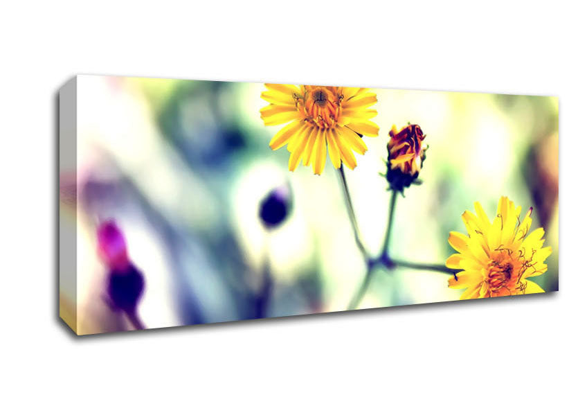 Picture of Weed Or Flower Panoramic Canvas Wall Art