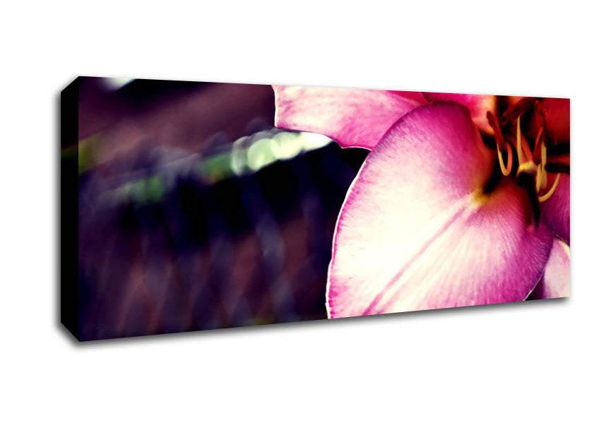 Close_up Of A Pink Petal