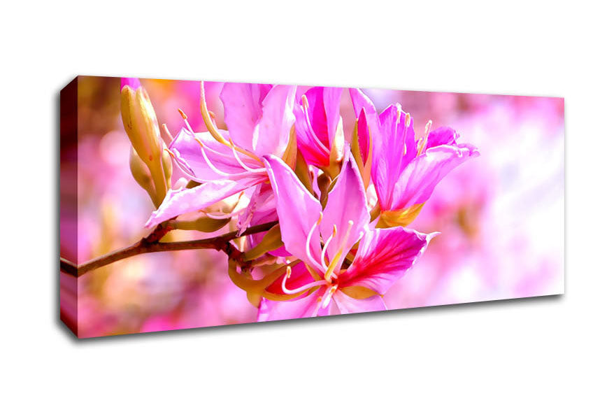 Picture of Stunning Deep Pink Flowers Panoramic Canvas Wall Art