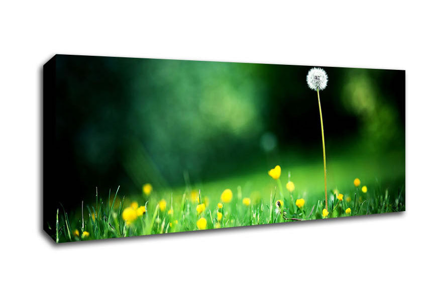 Picture of My Last Wish Panoramic Canvas Wall Art