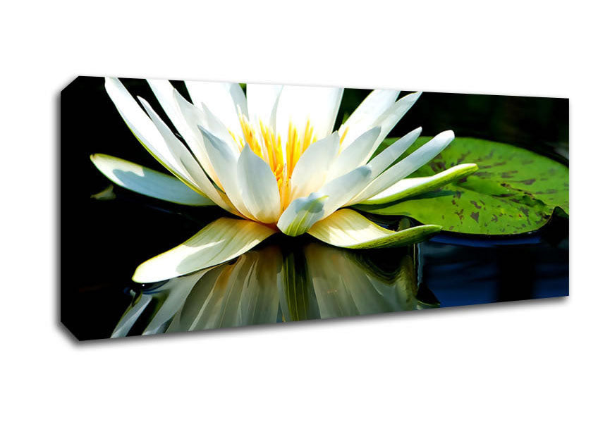 Picture of White Water Lily Reflection Panoramic Canvas Wall Art