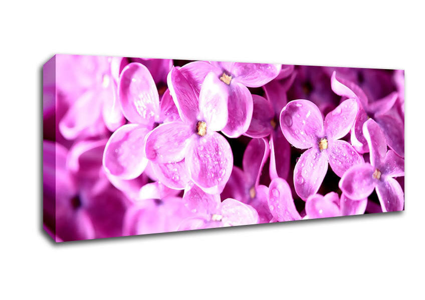 Picture of Lilac Flowers Macro Panoramic Canvas Wall Art