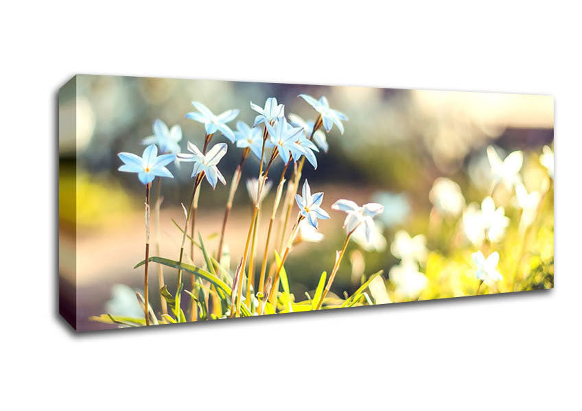 Picture of Soft Blue Garden Flowers Panoramic Canvas Wall Art