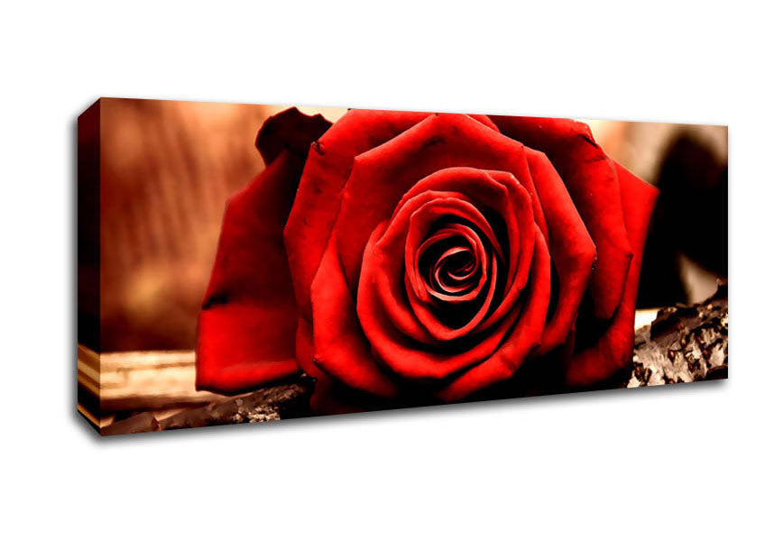 Picture of Valentines Day Rose Panoramic Canvas Wall Art