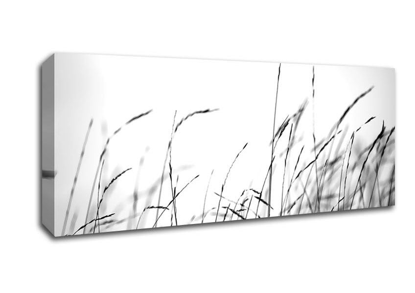 Picture of Little Shadow Panoramic Canvas Wall Art