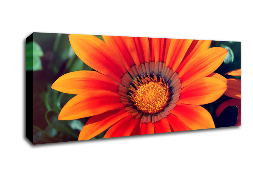 Picture of Spring Lover Panoramic Canvas Wall Art