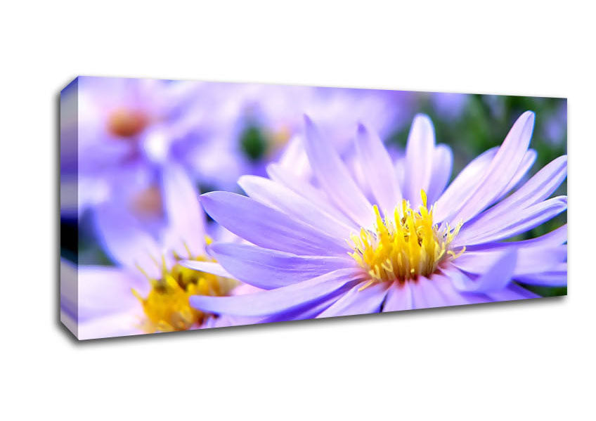 Picture of Pretty Violet Flowers Panoramic Canvas Wall Art