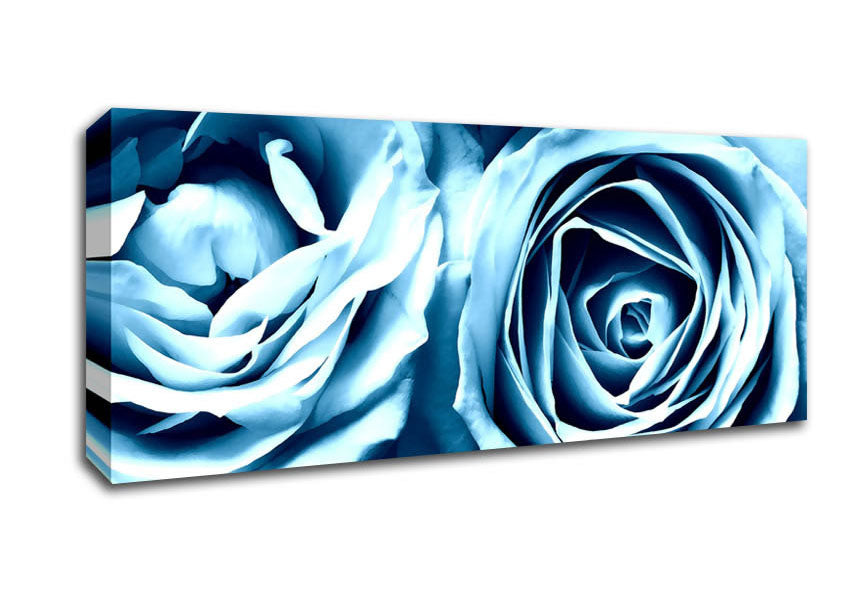Picture of Twin Blue Roses Panoramic Canvas Wall Art