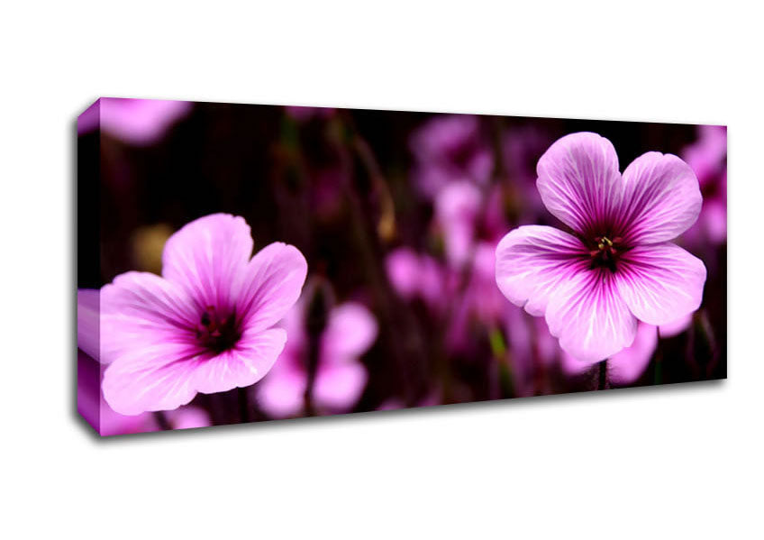 Picture of Purple Trumpets Panoramic Canvas Wall Art