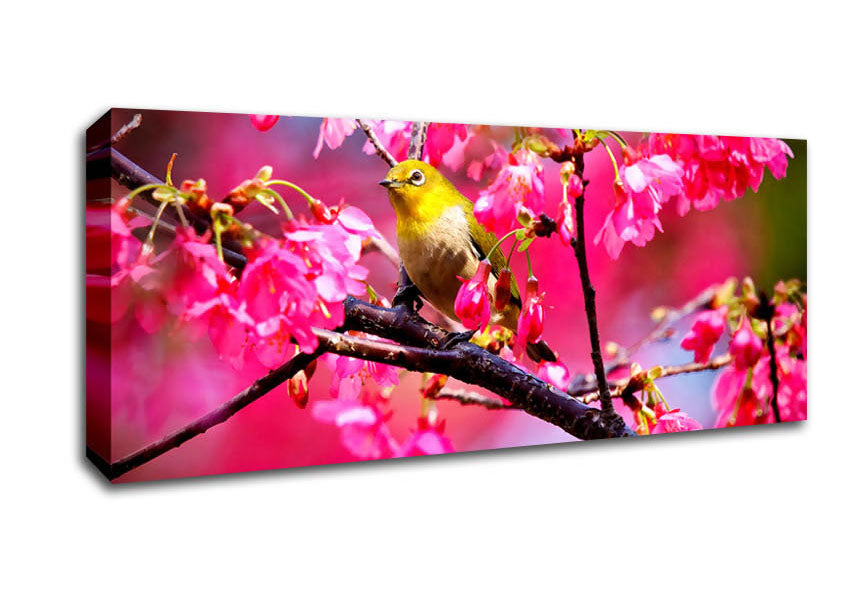 Picture of Mountain Cherry Bird Panoramic Canvas Wall Art