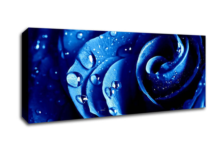 Picture of Wet Drops Blue Rose Panoramic Canvas Wall Art