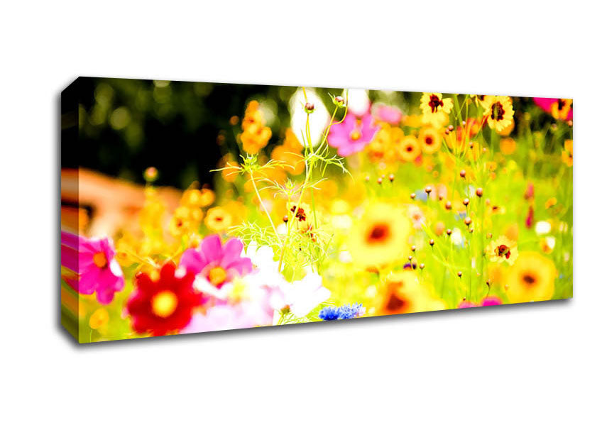 Picture of Vivid Wild Rainbow Flowers Panoramic Canvas Wall Art