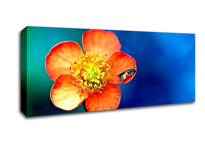 Picture of Pollen Overdose Panoramic Canvas Wall Art