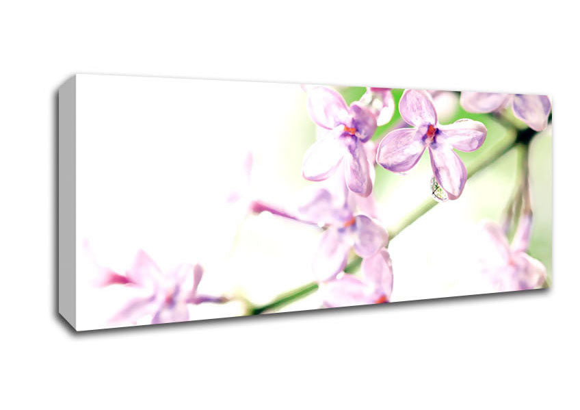 Picture of Lilac Flowers Panoramic Canvas Wall Art