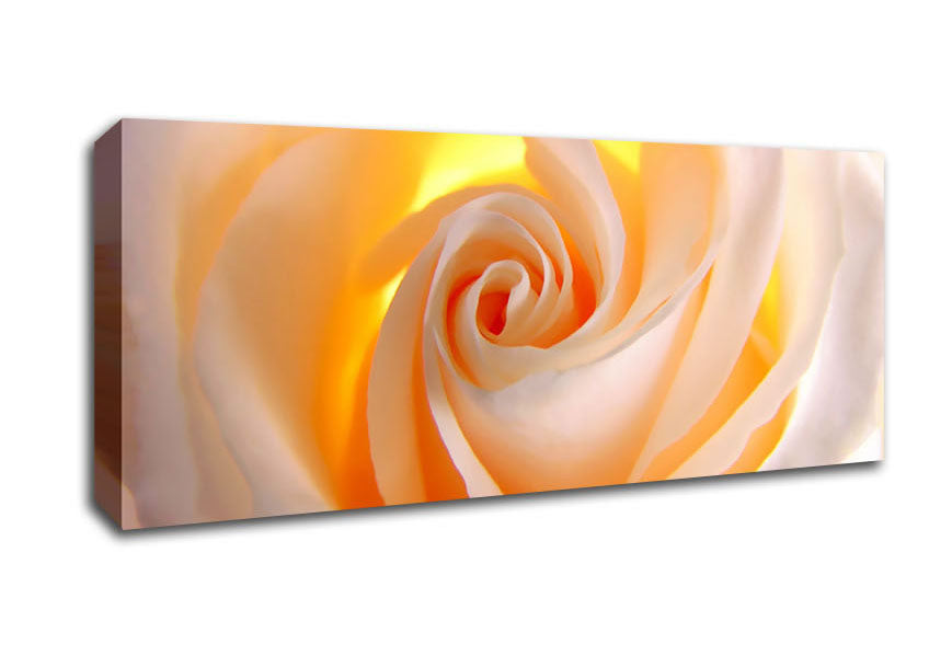 Picture of Soft Cream Yellow Rose Panoramic Canvas Wall Art