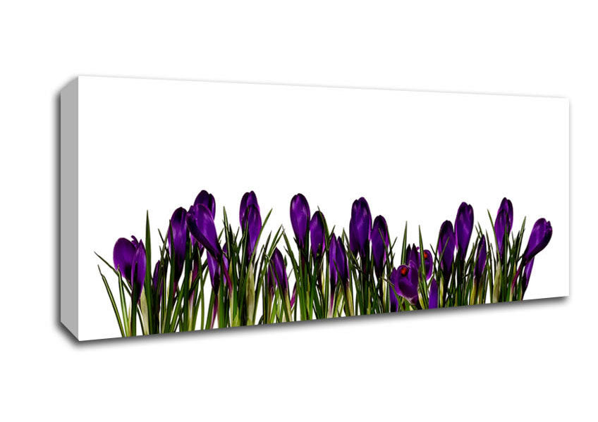 Picture of Purple Garden Flowers Panoramic Canvas Wall Art