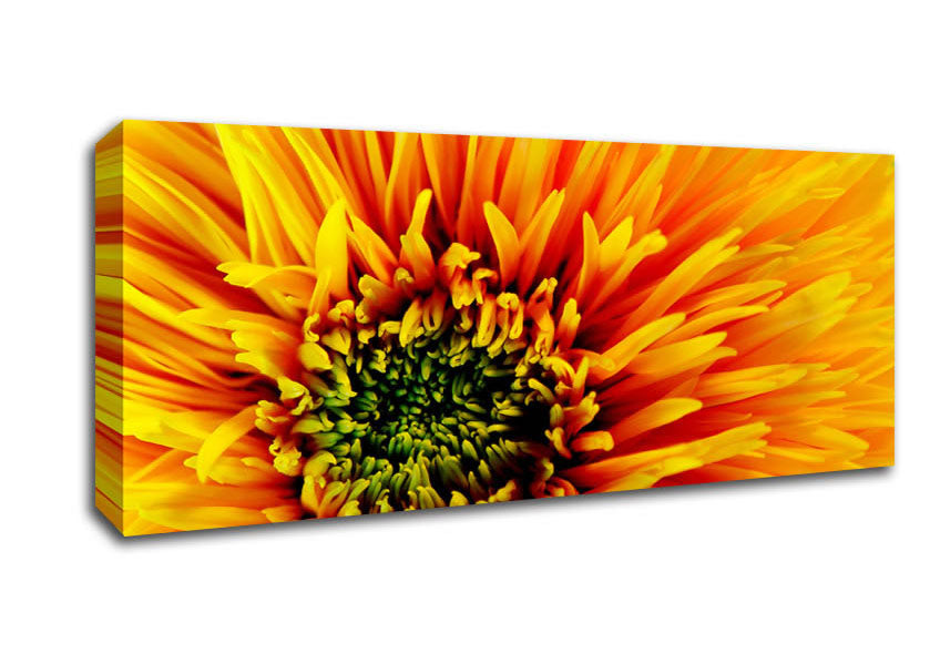Picture of The Orange Centre Of Beauty Panoramic Canvas Wall Art