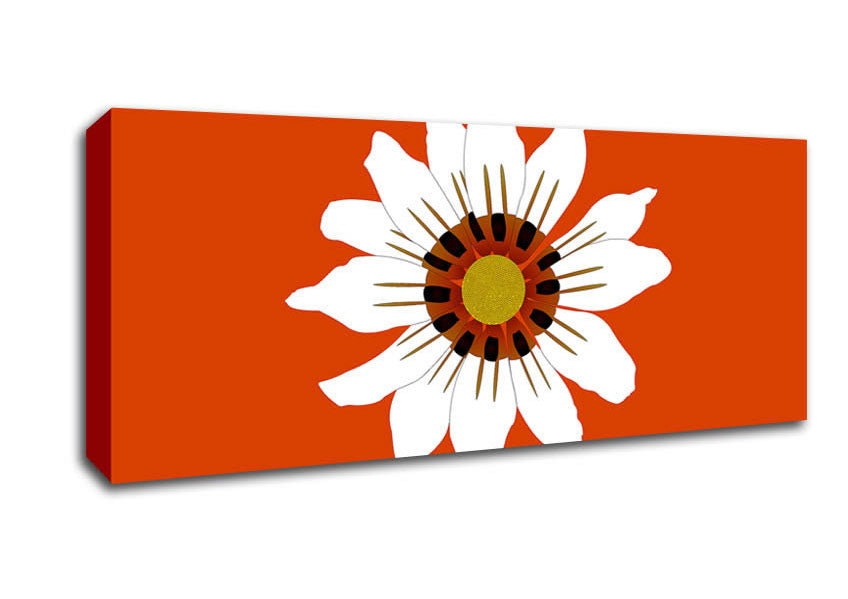 Picture of White Daisy Oranges Panoramic Canvas Wall Art