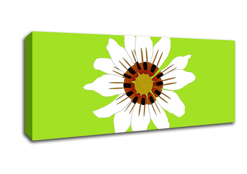Picture of White Daisy Greens Panoramic Canvas Wall Art