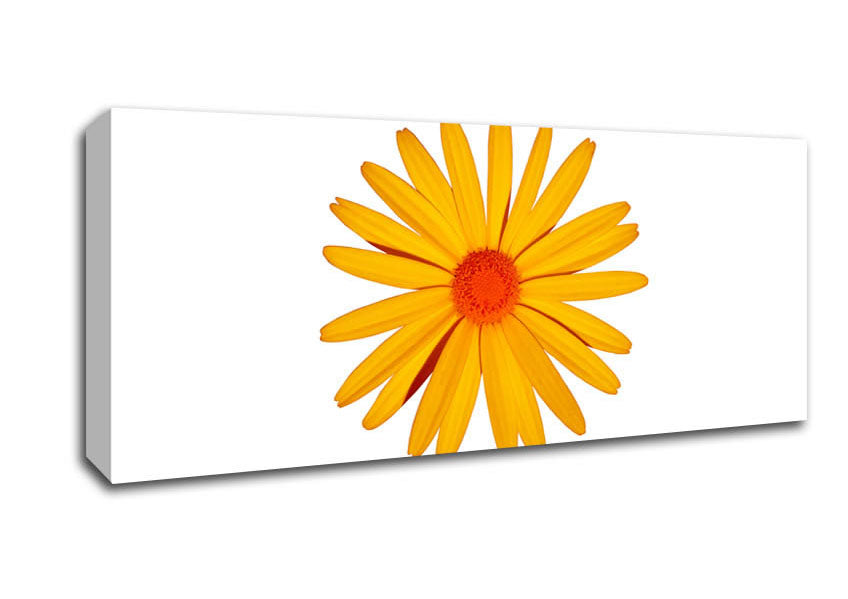Picture of Yellow Daisy Face Panoramic Canvas Wall Art