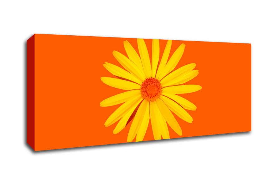 Picture of Yellow Daisy Face On Orange Panoramic Canvas Wall Art