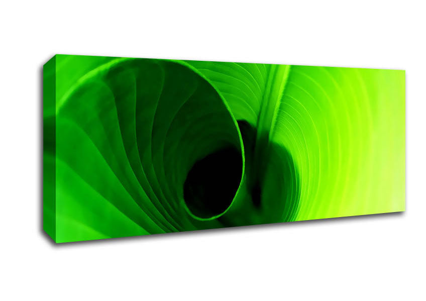 Picture of Twist Of A Green Leaf Panoramic Canvas Wall Art