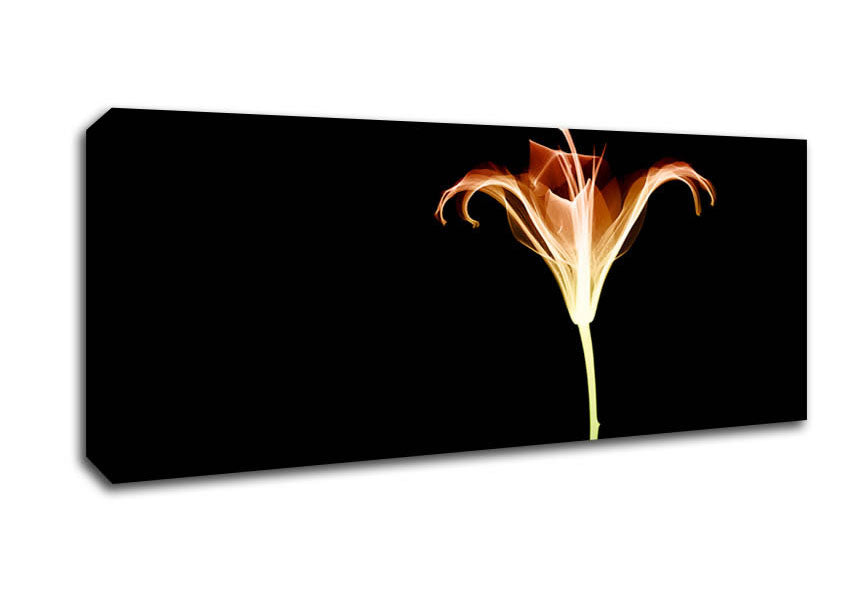Picture of X-Ray Orange Panoramic Canvas Wall Art